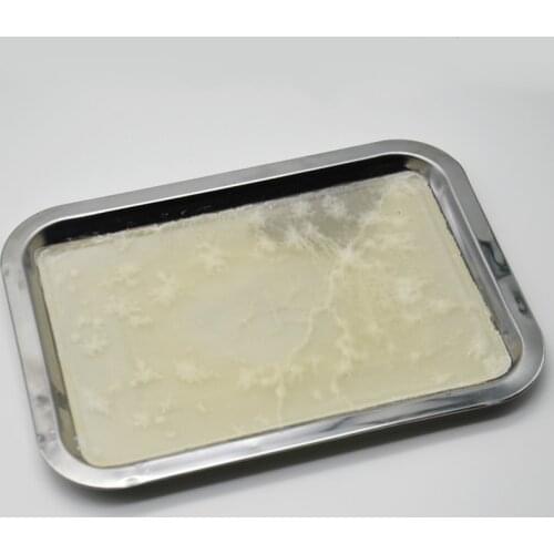 Dissecting Plate Wax Plate Junior High School Biological Experimental Equipment