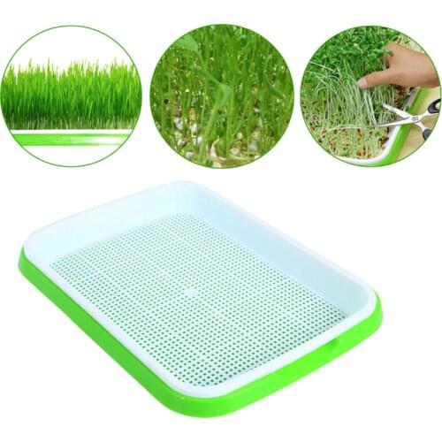 Seed Tray Seed Starter Green Tray Double-laye For Gardening Bonsai Cat Grass Hydroponic Flower Plant Home Garden Nursery Pot