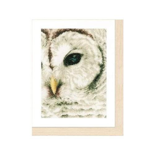 Cross Stitch Set Chinese Cross-stitch Kit Embroidery Needlework Craft Packages Cotton Fabric Floss New Designs EmbroideryZZ686