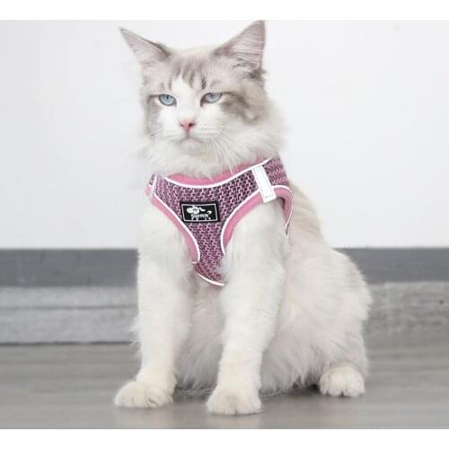 New Fashion Cat Harness with Leash Breathable and Comfortable Dog Cat Walking Rope Traction Rope Pet Dog Cat Chest Strap
