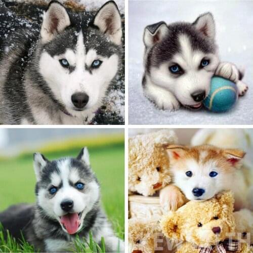 FULL Diamond painting Cross Stitch 3d diy Diamond Embroidery mosaic pattern cute Husky dog picture home decor kids gift L681