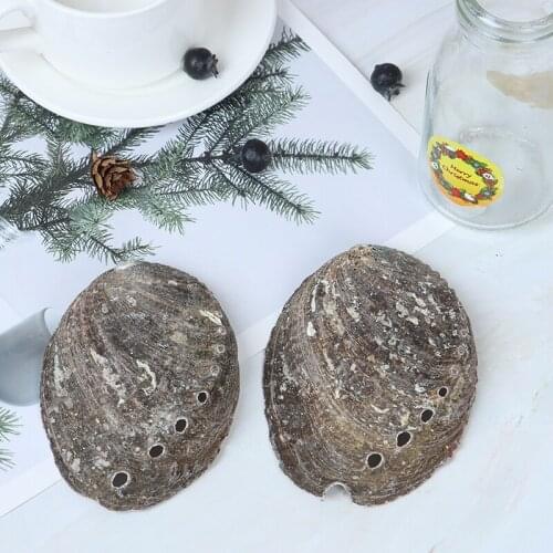 10-14Cm Natural Abalone Shell Large Sea Shells Nautical Decor Soap Landscape Fish Diy Aquarium Wedding Dish Tank Home Decor