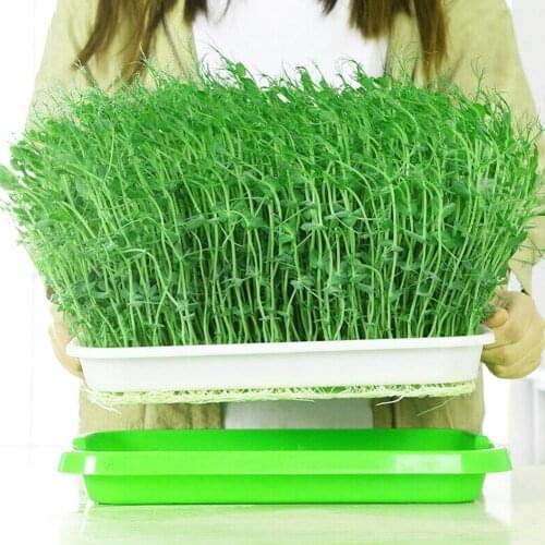 Seedling Tray Double-layer Dishes Plate Bean Sprouts Hydroponic Plastic Basket Flower Plant Planting Home Garden Nursery Pots