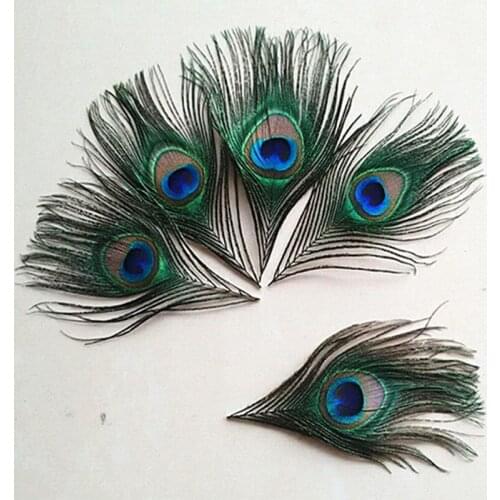 Natural peacock feather eyes 8-12cm lenght 10pcs/lot wholesale feather accessories