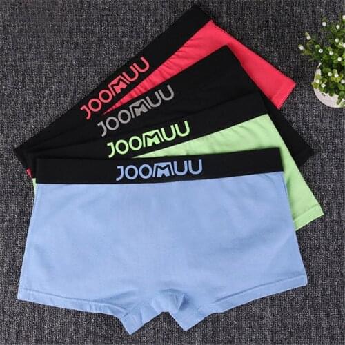 2pcs Neutral Underwear Women Color Shorts Tomboy Mid-waisted Cotton Boxer Briefs Cartoon Mid-waist Knickers Tran Les Lesbian
