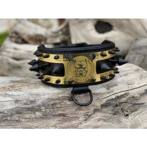 Leather Studded Dog Collar and Leash with Spikes for Dogs - Black,Gold,White Dog Collars
