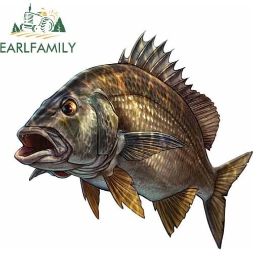 EARLFAMILY 13cm x 12.3cm 3D Yellowfin Bream Car Sticker Outdoor Fishing Decal Boat Kayak Decals Car Truck Motorcycle Car Styling