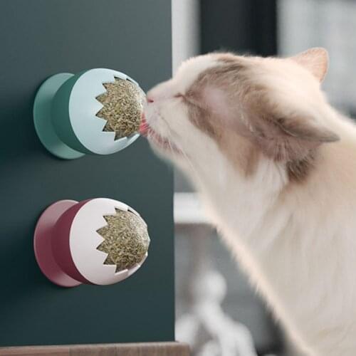 Natural Healthy Catnip Cat Toys For Kitten Edible Treating Cleaning Teeth Cat Supplies Pet Toy Pet Products Accessories