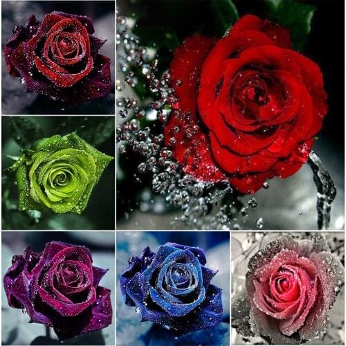 Diamond Painting Flower Rose Art Picture Embroidery 5D Diy Full Diamond Mosaic Rhinestone Cross Stitch Kits Home Decoration Gift