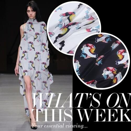 LEO&LIN New Bird Multicolour Print Crepe De Chine Material Fabric For Dress 50cm