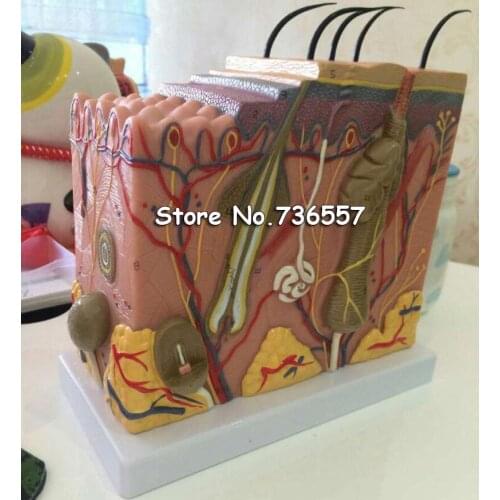 Наглядные пособия CJEC China At AliExpress