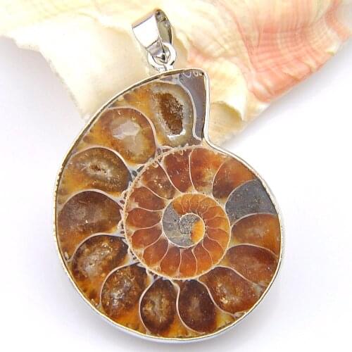 Novel Luckyshine 2 PCS 1 LOT Natural Ammonite Fossil Silver Plated Wedding Pendants Russia USA Australia Pendants for Necklaces