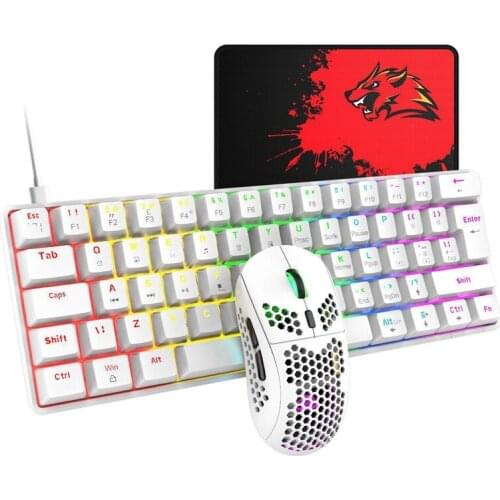 ZIYOU LANG USB Wired Keyboard Mouse Set 62-Key Real Mechanical Keyboard+6400DPI Mouse RGB Gaming Keyboard Mouse Set