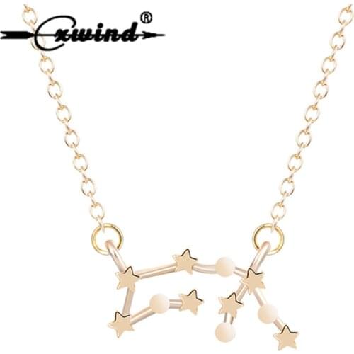 Cxwind Fashion Aquarius Necklace Zodiac Sign Astrology Pendant Necklace Constellation Necklaces Birthday 20/1-18/2