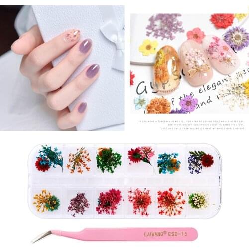 1Box Dried Flowers Dry Plants Set Tweezers for Epoxy Resin Pendant Necklace Jewelry Making Accessories DIY Nail Art Decorations