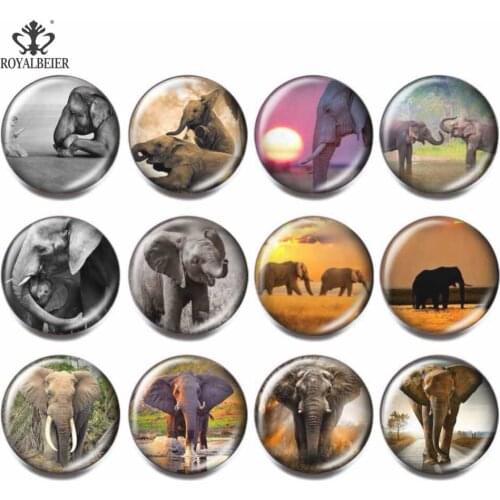 12pcs/lot Multi-color Elephant Glass Cabochon Beads 18mm Colorful Snap Button Charm Bracelet Women Fit 18mm Snap Jewelry