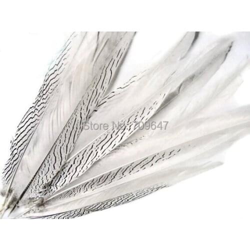 Tail Feathers, 50Pieces per lot - 16-18" 40-45cm NATURAL SILVER Pheasant Tail Feathers ,Pheasant Feathers