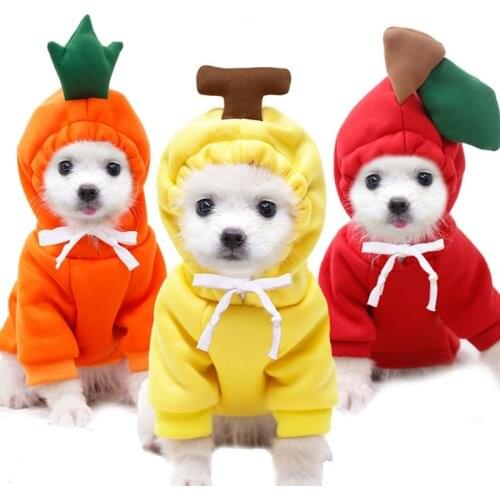 Thin Pet Clothes Kitten Dog Clothes Fruit Sweater Dogs Cats Fruits Pets Autumn and Winter Sweaters
