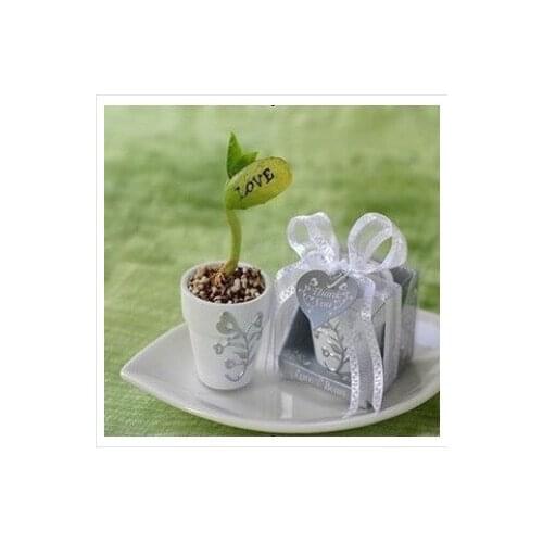 Fast Shipping 100 pcs/lot valentine day gift love romance magic beans Wedding Favors party guest gifts