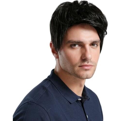10'' Short Wavy Side Part Mens Brown/Black Color Wig Heat Resistant Synthetic Hair Wig for Daily Wear or Cosplay Use