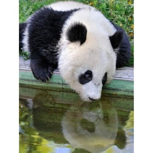 Full Round Diamond Embroidery New 5D Diy Diamond Painting Panda Cross Stitch Diamond Mosaic Needlework Home Decor