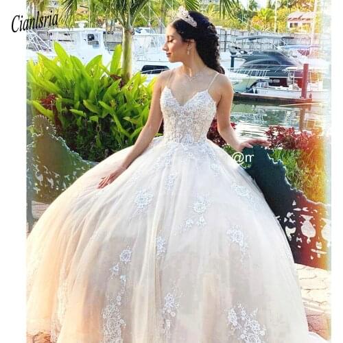 Elegant Spaghetti Strap Open Back Ball Gown Quinceanera Dresses Sleeveless Appliques Lace Sweet 16 Dress Prom Party Dress