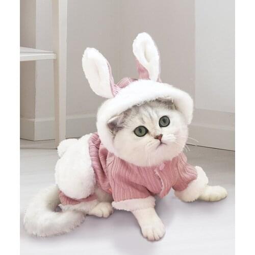 Cat Clothes Kittens Kitten Pet Anti-Lint Cute Ragdoll Cat Four Feet Winter Ragdoll Spring and Autumn