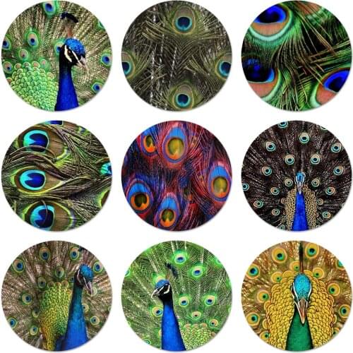 58mm Bird Peacock feather Badge Brooch Pin Accessories For Clothes Backpack Decoration gift