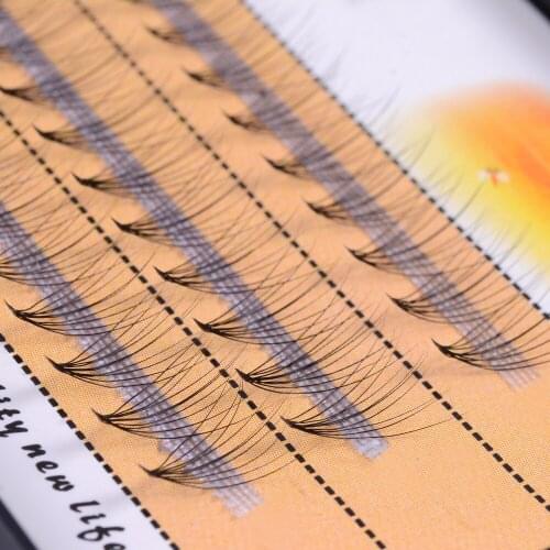Eyelashes 10d Natrual mink hair silk lashes eyelash extensions fake lashes 0.07 thickness