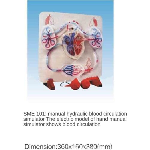 Manual hydraulic blood circulation simulator