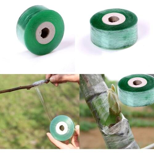 1Pcs 2CMX100M Grafting Tape Stretchable Self Adhesive Grafting Film Special Fruit Tree Garden Bind Tape