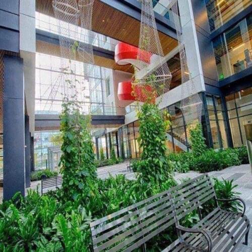 Stainless steel cable mesh as architectural surface plant climbing net