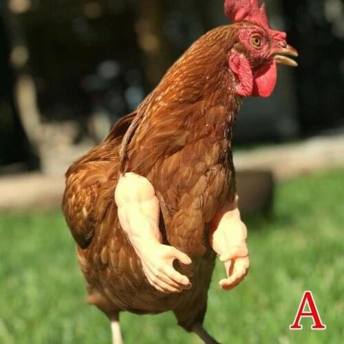 New Chicken Arm Toy Chicken Forelimb Decoration Funny Funny Gift Chicken Arms For Pet Chicken Decorations Themed Party Instock