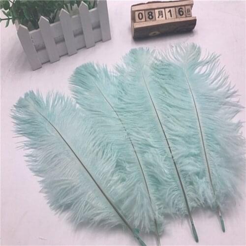 Holiday Decorations 10pcs beautiful light blue ostrich feathers 6-8 inches/15-20 cm wholesale decoration