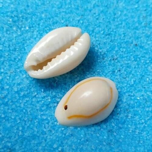 20 PCS Loose Shell for Diy Necklace Nature Shell Beige Color Jewelry 2-2.5cm