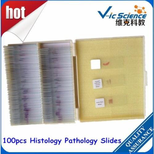 Hot Sale 100pcs Histology Pathology Slides