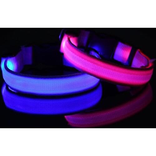 LED Dog Collar Light Luminous Necklace Charm USB Charging Night Safety Flashing Glow Collar Pets Cat Harness Leash Leads 2.5cm