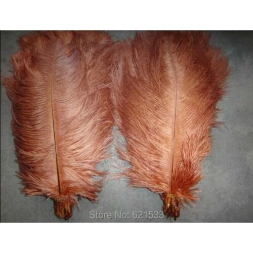 Wholesale!100pcs/lot High Quality Coffe Colour Ostrich Feathers 10-12inch/25-30cm long freeshipping