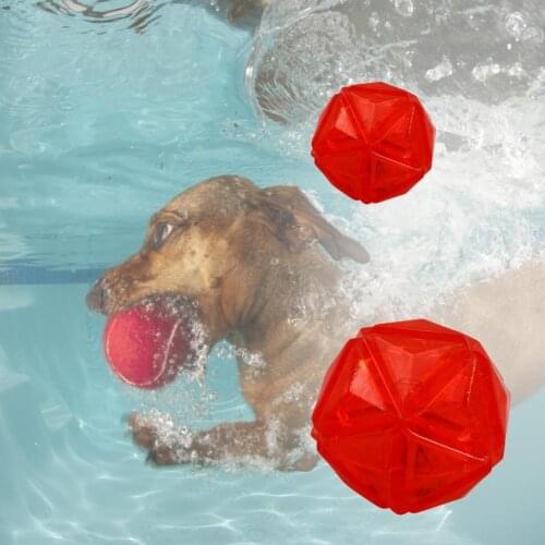Pet Toy Floatable Molar TPR Interactive Buoyancy Ball Toy Pool Multifunctional Pet Toy Ball Dog Supplies