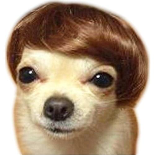 NACOCO Pet Dog High Temperture Wire Wig Pet Accessories Pet Headwear