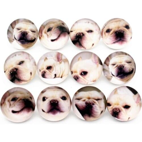New Arrived Mixs 10pcs/lot Bulldog Face Animal Glass Snap Button Chams Fit 18mm/20mm Snap Bracelet Bangles DIY Jewelry