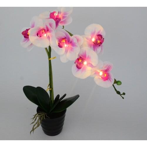 Free Shipping 20" (50cm) LED Blossom Orchid Flower Bonsai 7PCs WarmLED with 2*AA Battery pot ,7 PCs Real Touch Flowers with buds