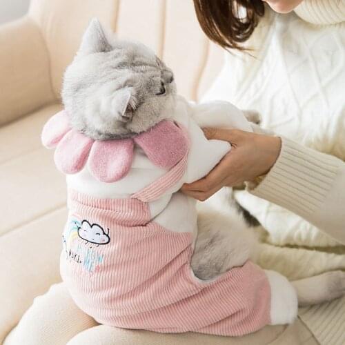 Snailhouse New Pet Clothes Teddy Small Dog Cartoon Totoro Suit Autumn&winter Warm Plush Rompers For Puppy Cat Clothes With Hat