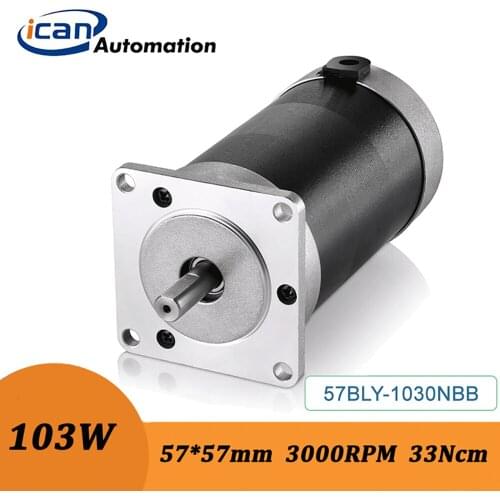 ICAN 103W 24v 33Ncm High Performance Low Cost Brushless Dc Motor