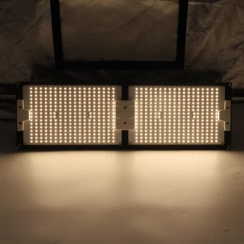 Kingbrite Led IP65 waterproof Samsung LM301H 240W 3000K 3500K 4000K grow light for flowering veg