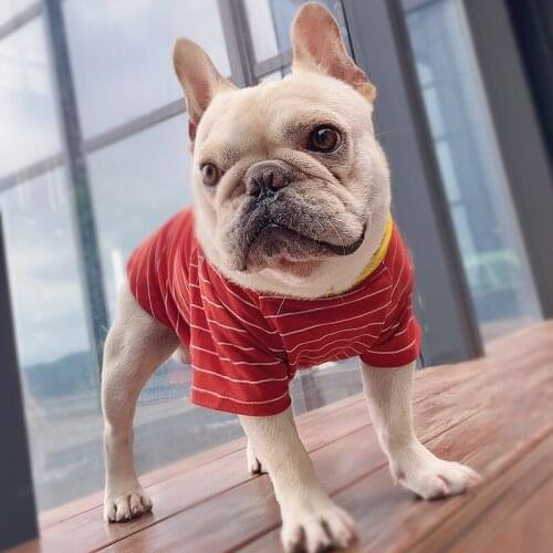 Zq Dog Clothes Thin Summer Clothing Sun-Proof and Breathable Fashion Striped Cute Stitching T Free Shipping