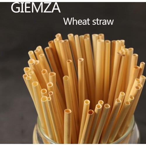 GIEMZA Disposable Straws