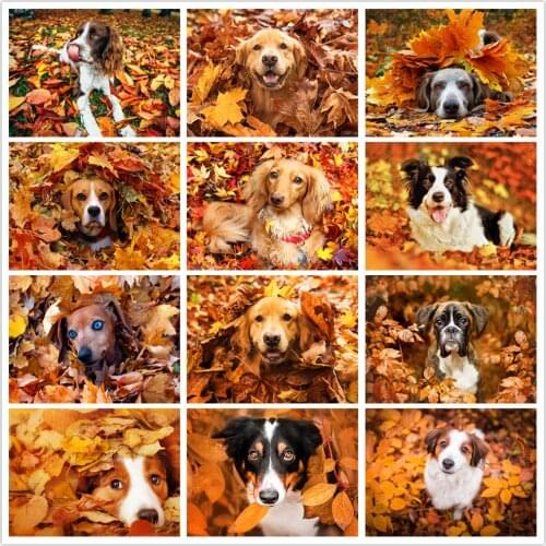 5D DIY Full Square Round Drill Diamond Painting Dog Animals Diamond Embroidery Autumn Landscape Leaf Mosaic Home Decoration Gift