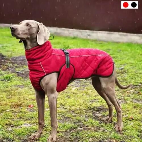 Dog Outdoor Jacket Waterproof Dog Clothes Vest Winter Warm Cotton Dogs Clothing for Large Middle Dogs Labrador red black