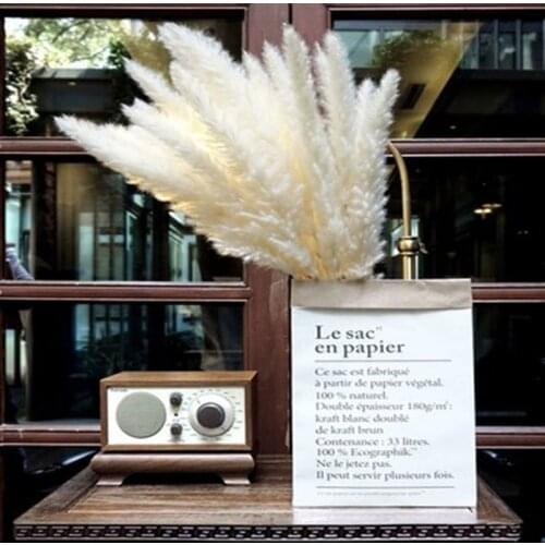 White Pampas Grass Decorative Dried Plants Dried Natural Flowers Bulrush Wedding Flower Bunch Natural Phragmites Communis Fall